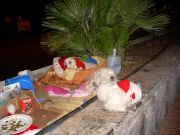Puerto Ricon rantabulevardi koirat duunissa 2007 joulu